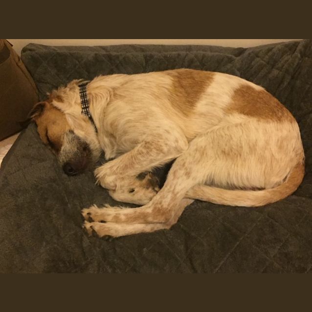 Photo of Remy Dl2171