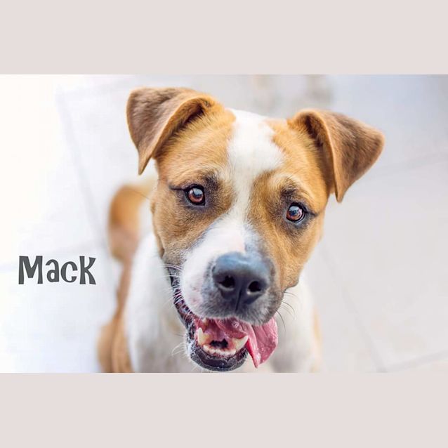 Photo of Mack