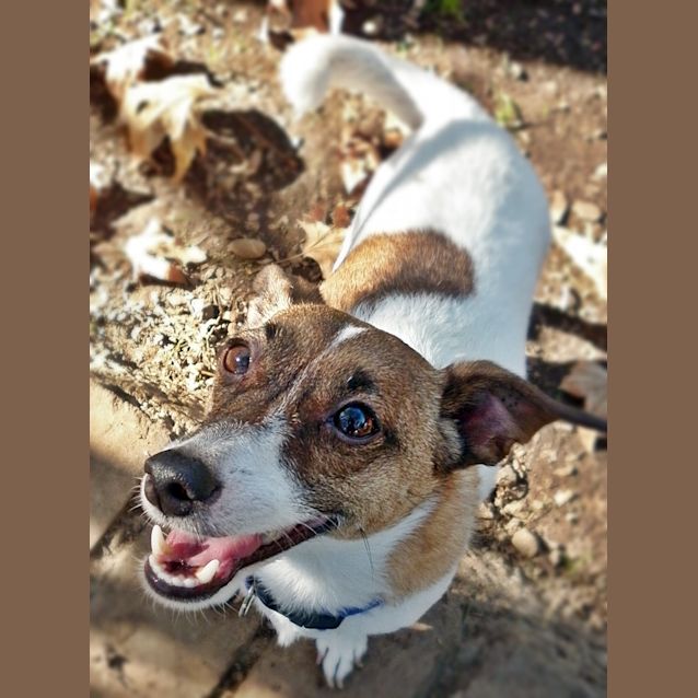 Photo of Jack