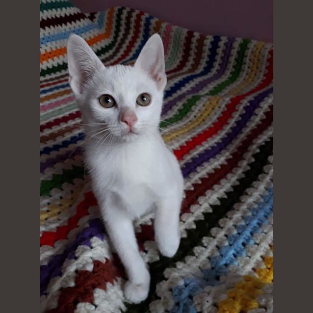 Photo of Yin 