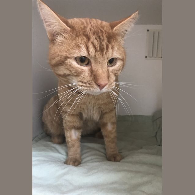 Photo of Keith Purrban