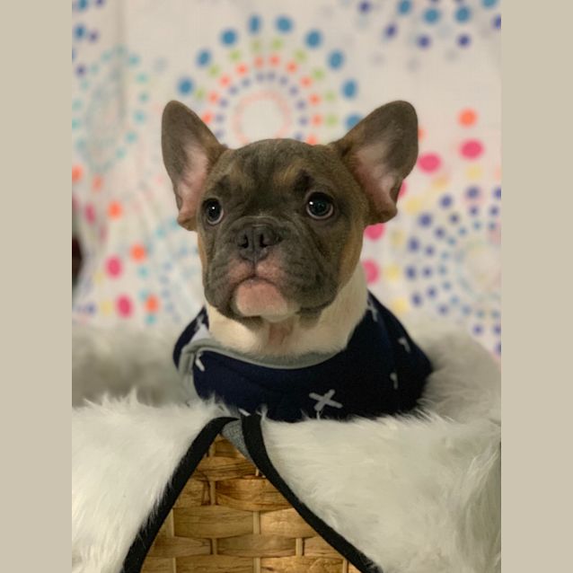Photo of Fletcher 🐧