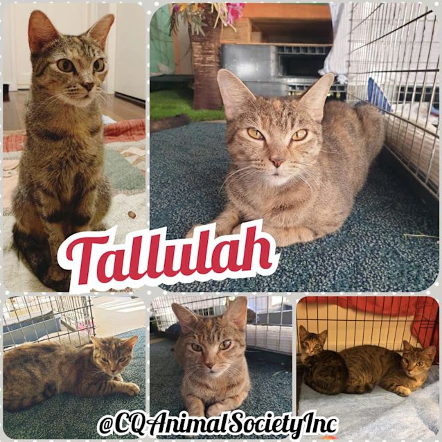 Photo of Tully