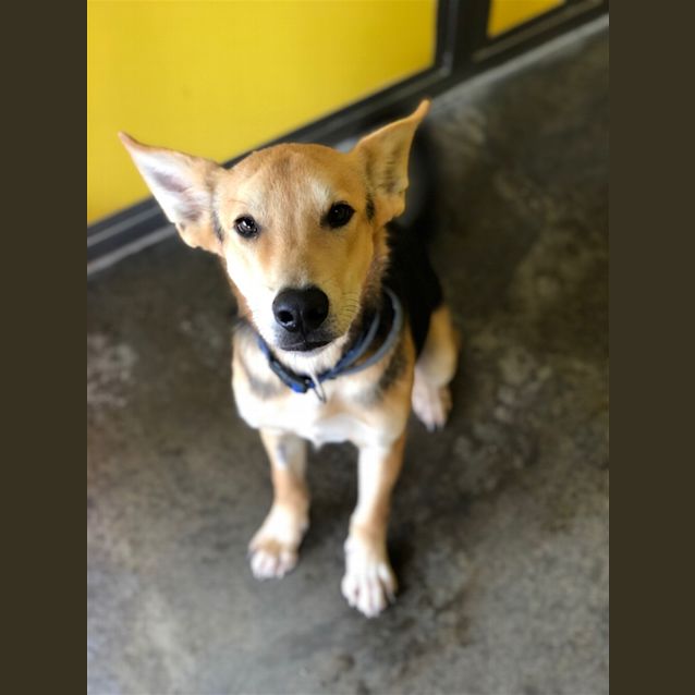 Photo of Duey