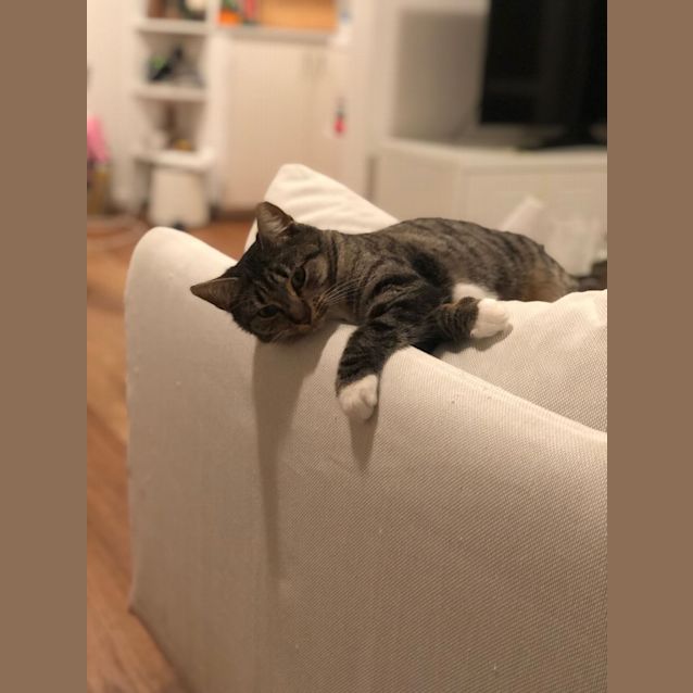 Photo of Maggie