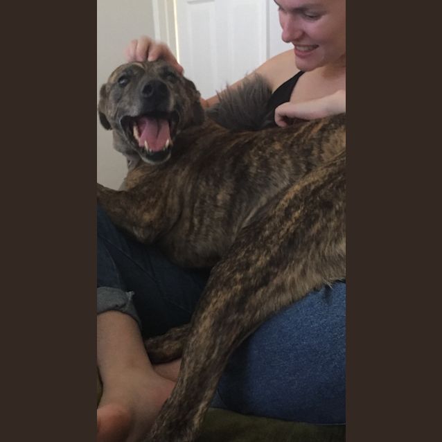 Photo of Bella Dl2172