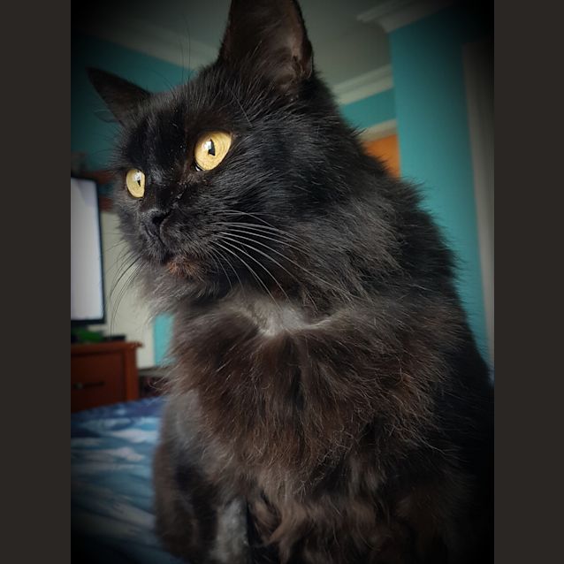 Photo of Missy