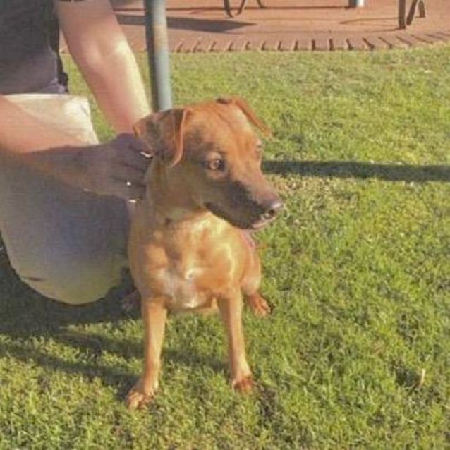 Photo of Athena