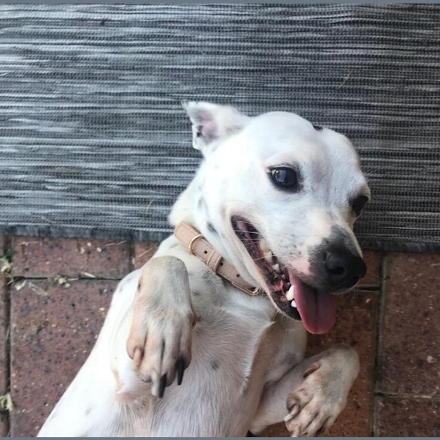 Photo of Chloe And Ollie