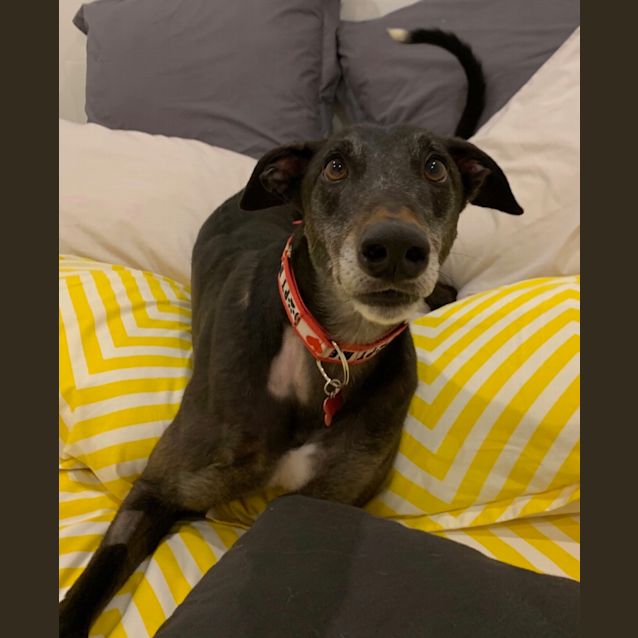 Photo of Jimmy Jay,  Melbourne