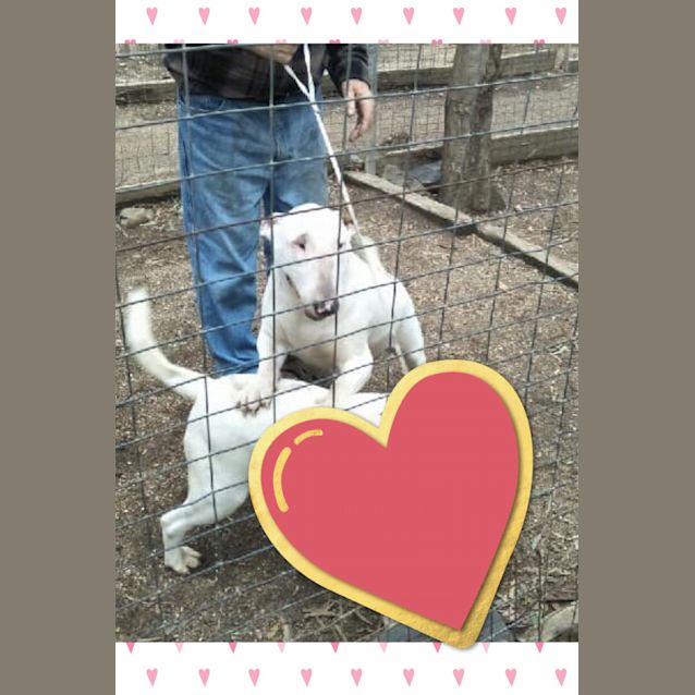 Photo of Beth   Foster Carer Needed