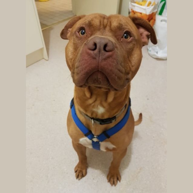 Photo of **On Trial** Boss