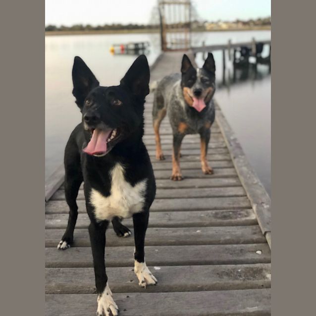 Photo of Bruce & Dougie