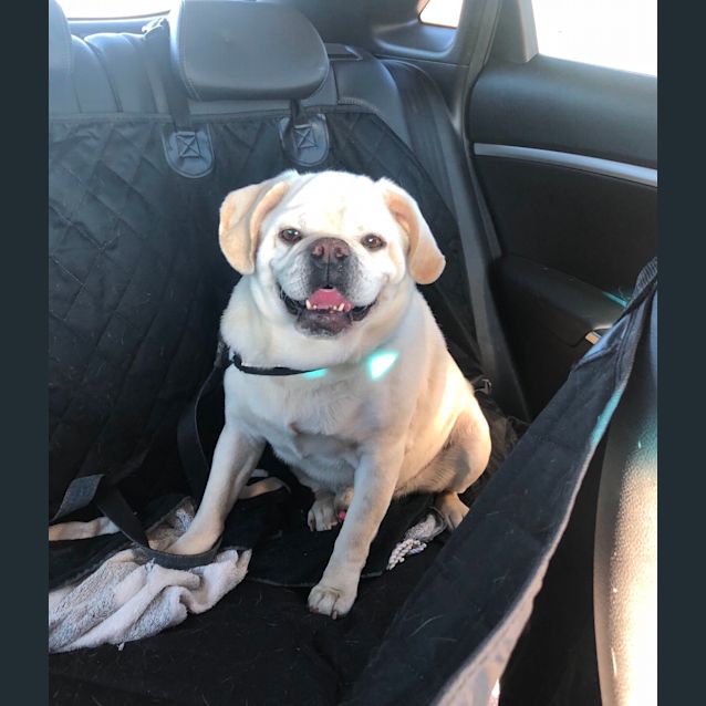 Photo of Billy ~ Snuggle Bug 