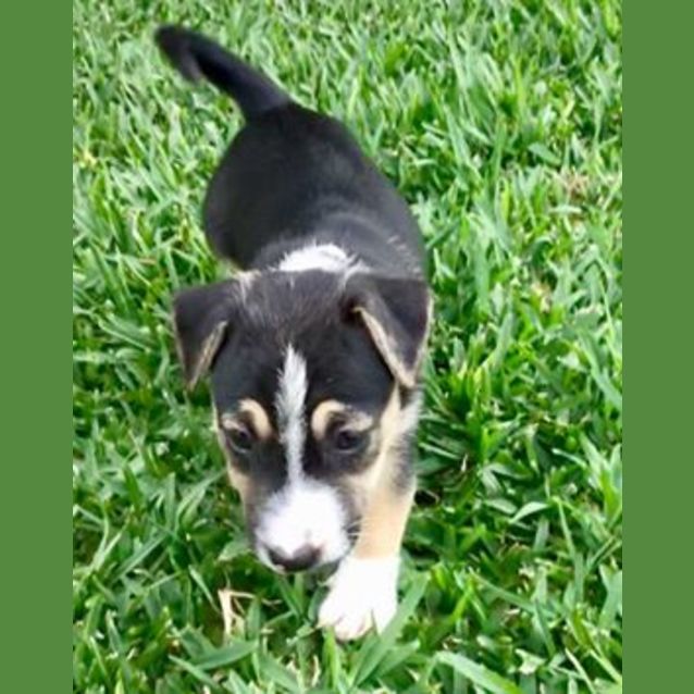 Photo of Freya