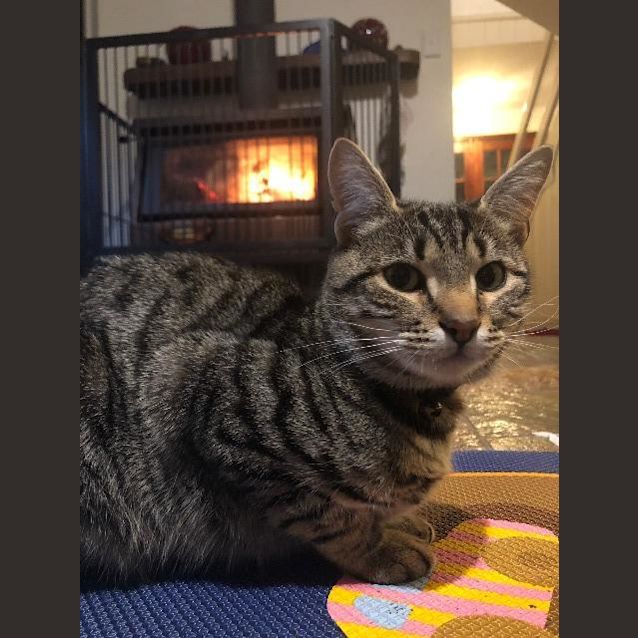 Photo of Kat
