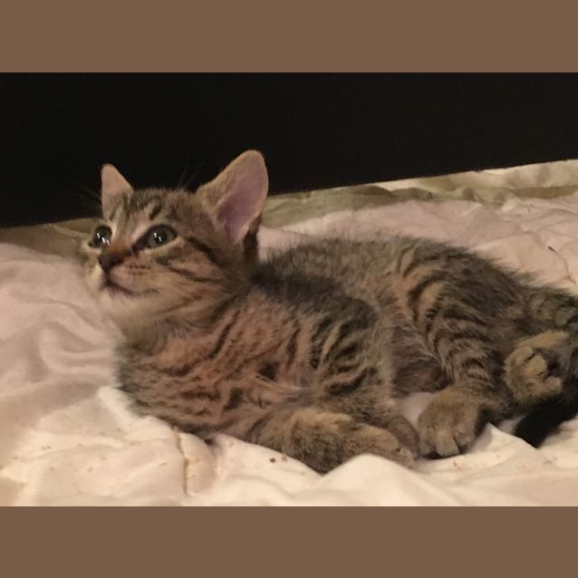 Photo of Lulu