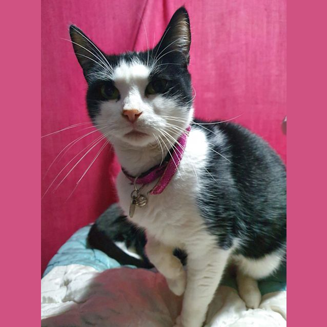 Photo of Mama Fiamo