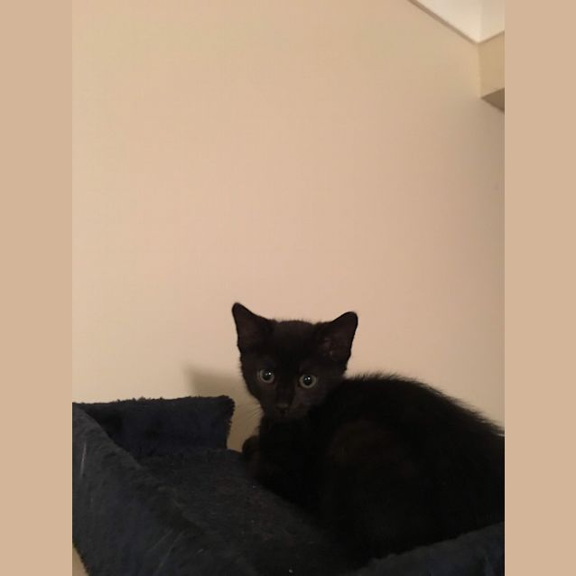 Photo of Stormy