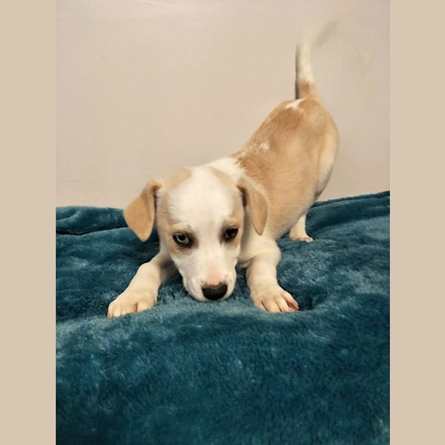 Photo of Ellie