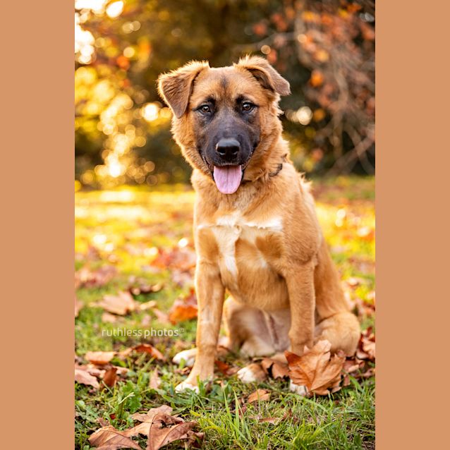 Photo of Katron