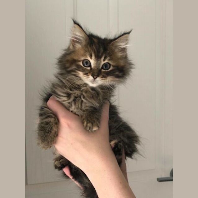 Photo of Alexandra And Bader