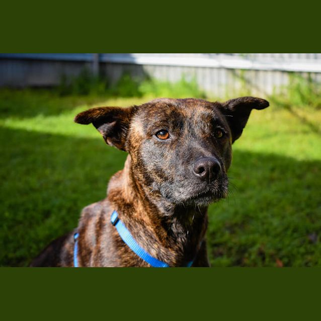 Photo of Ziva  ** On Trial **