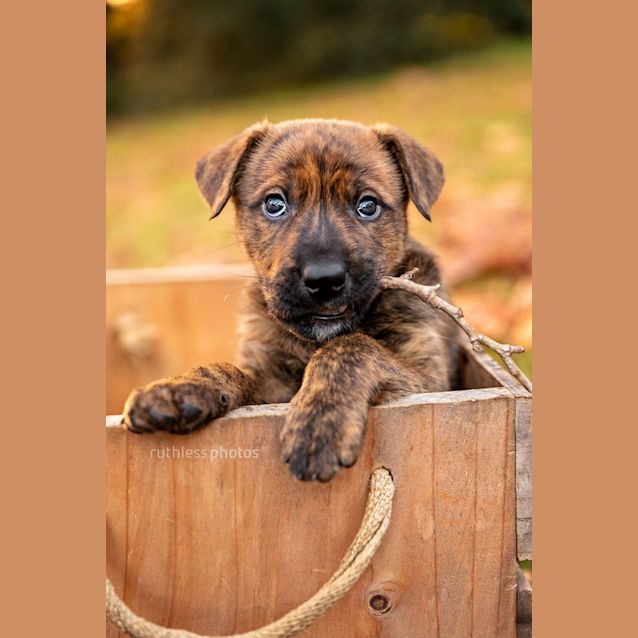 Photo of Athos