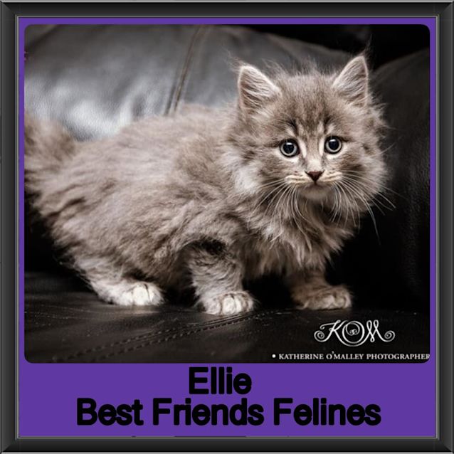 Photo of Ellie