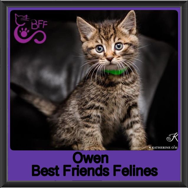 Photo of Owen