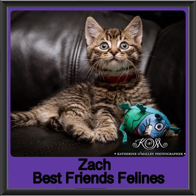 Photo of Zach