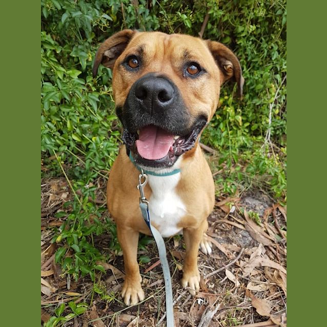 Photo of Maverick D0028