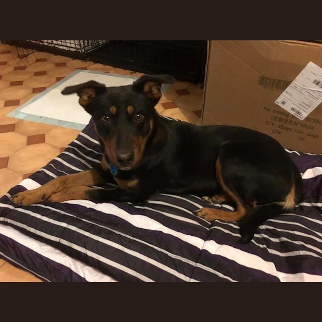 Photo of Tasha