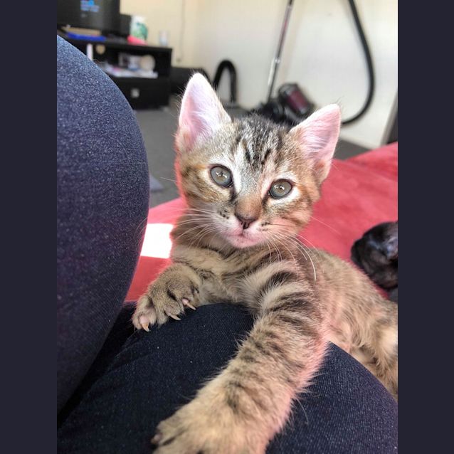 Photo of Grootette (She Is Not A Boy Apparently)