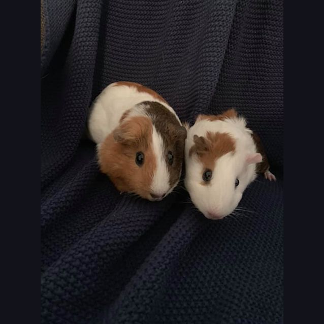 Photo of Maggie & Eloise