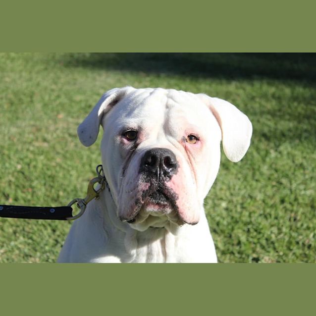 Photo of Prince William