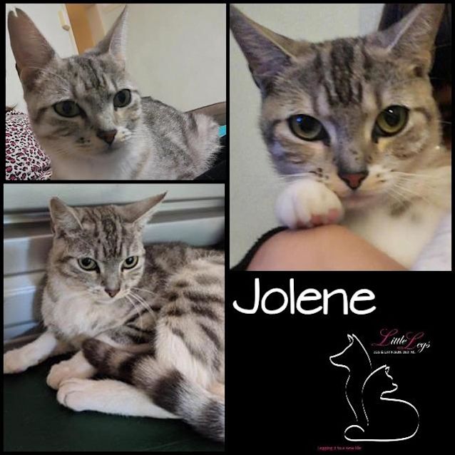 Photo of Jolene