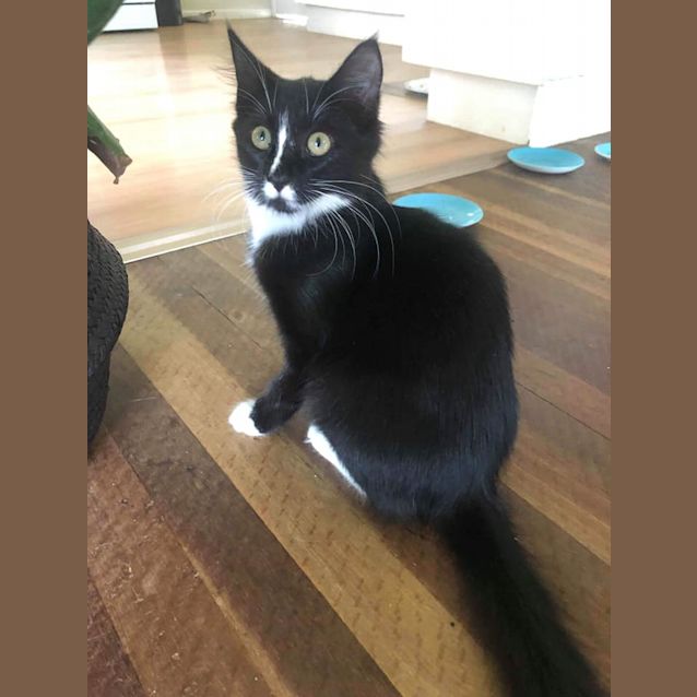 Photo of Willow 