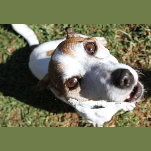 Photo of Esky