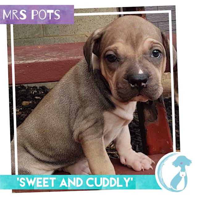 Photo of Mrs Pots