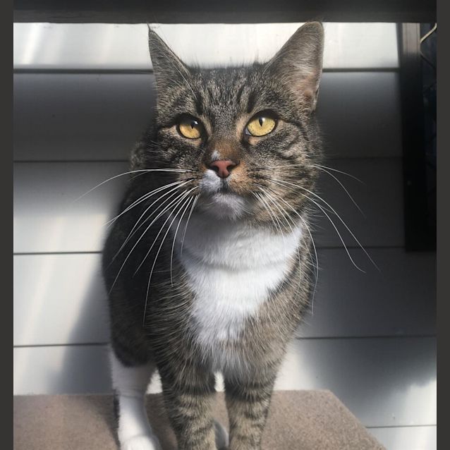Photo of Minerva