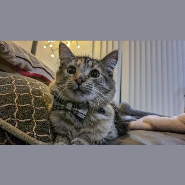 Photo of Frisco