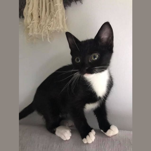 Photo of Ivy