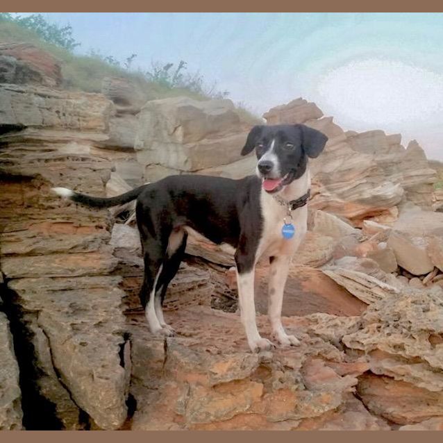 Photo of Lilly