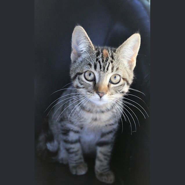 Photo of Candy