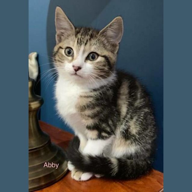 Photo of Abby