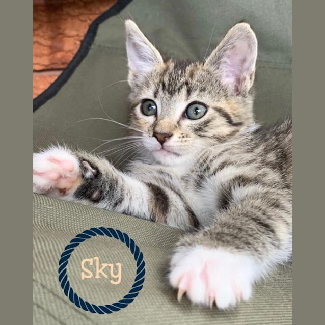 Photo of Miss Sky