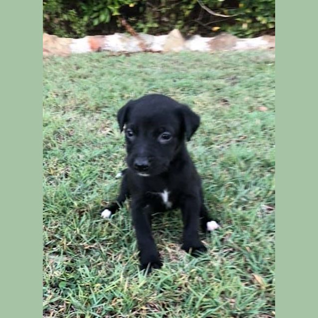 Photo of Elsie