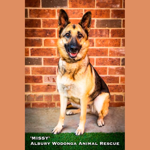 Photo of Missy