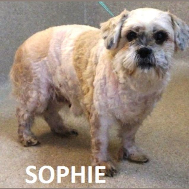 Photo of Sophie